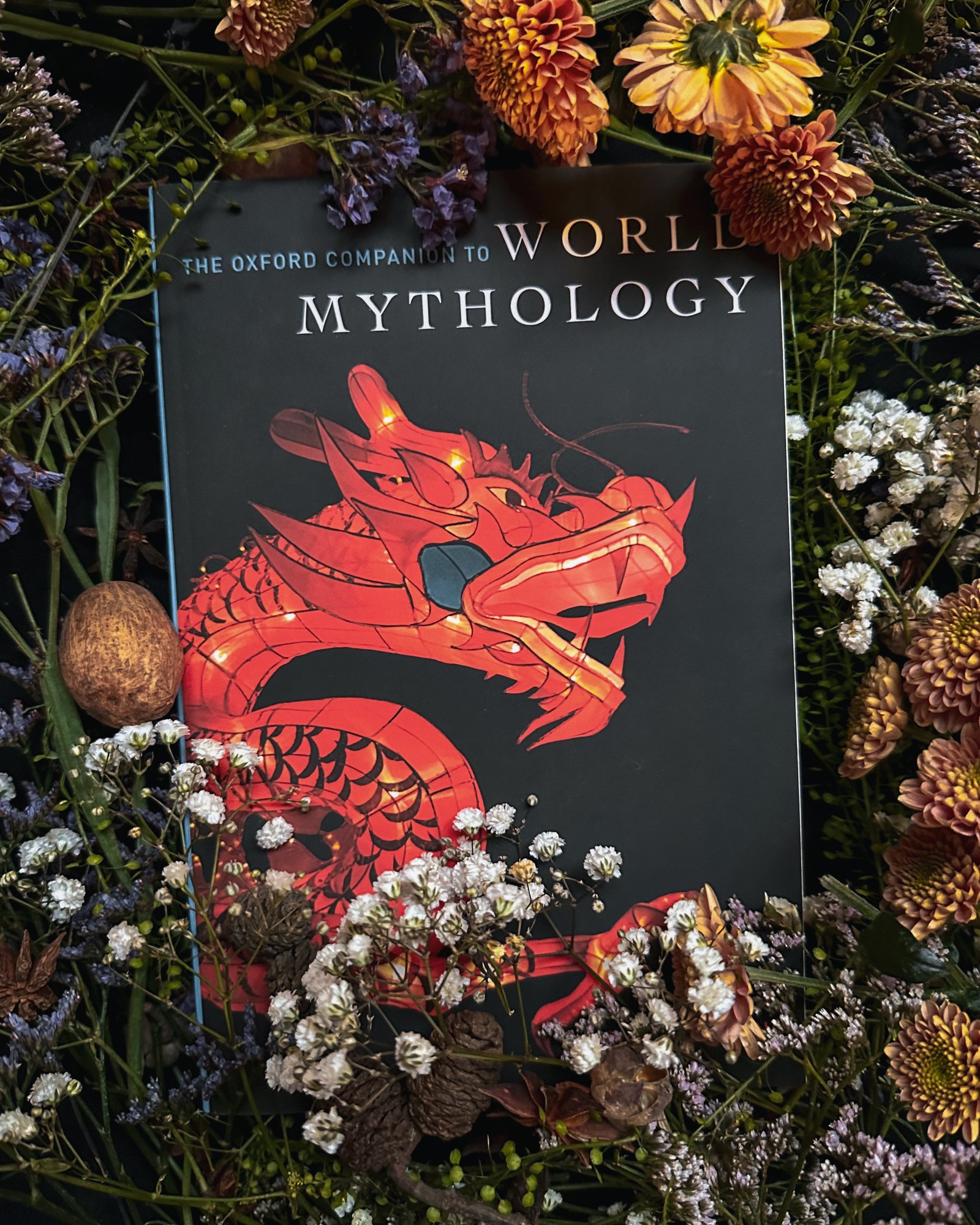 IMG_5326_jpg IMG_5326_jpg