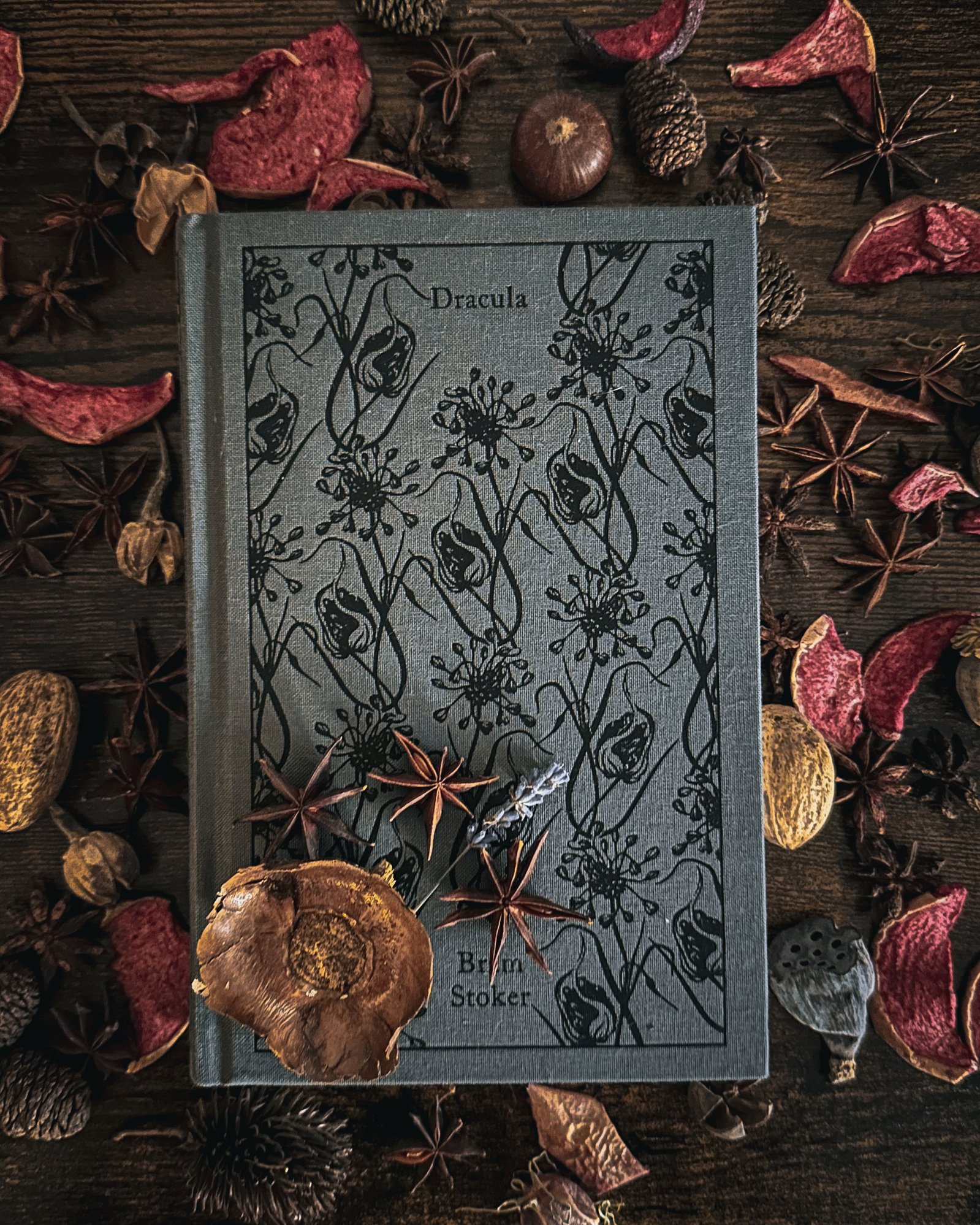 IMG_6879_jpg IMG_6879_jpg