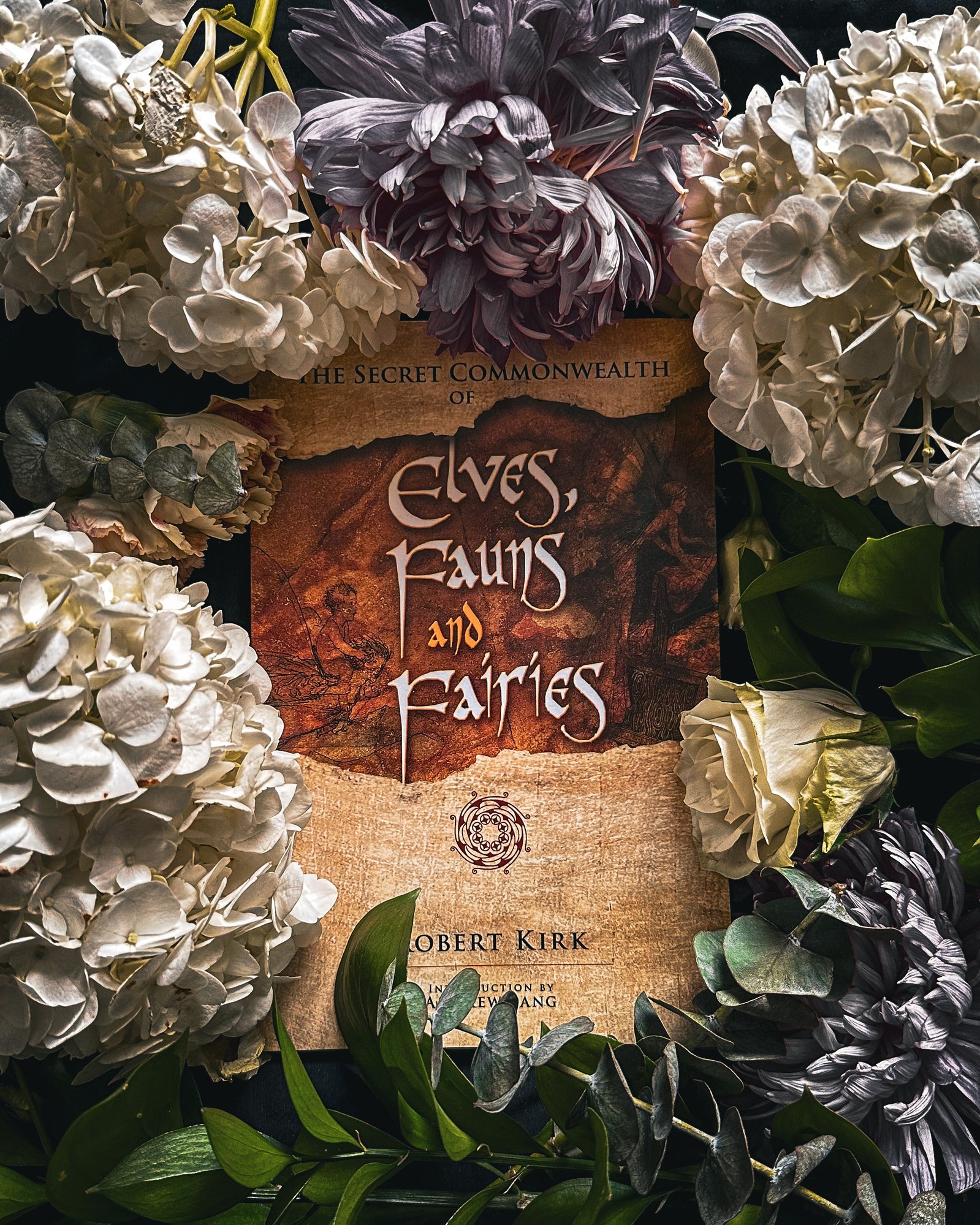 IMG_7563_jpg IMG_7563_jpg