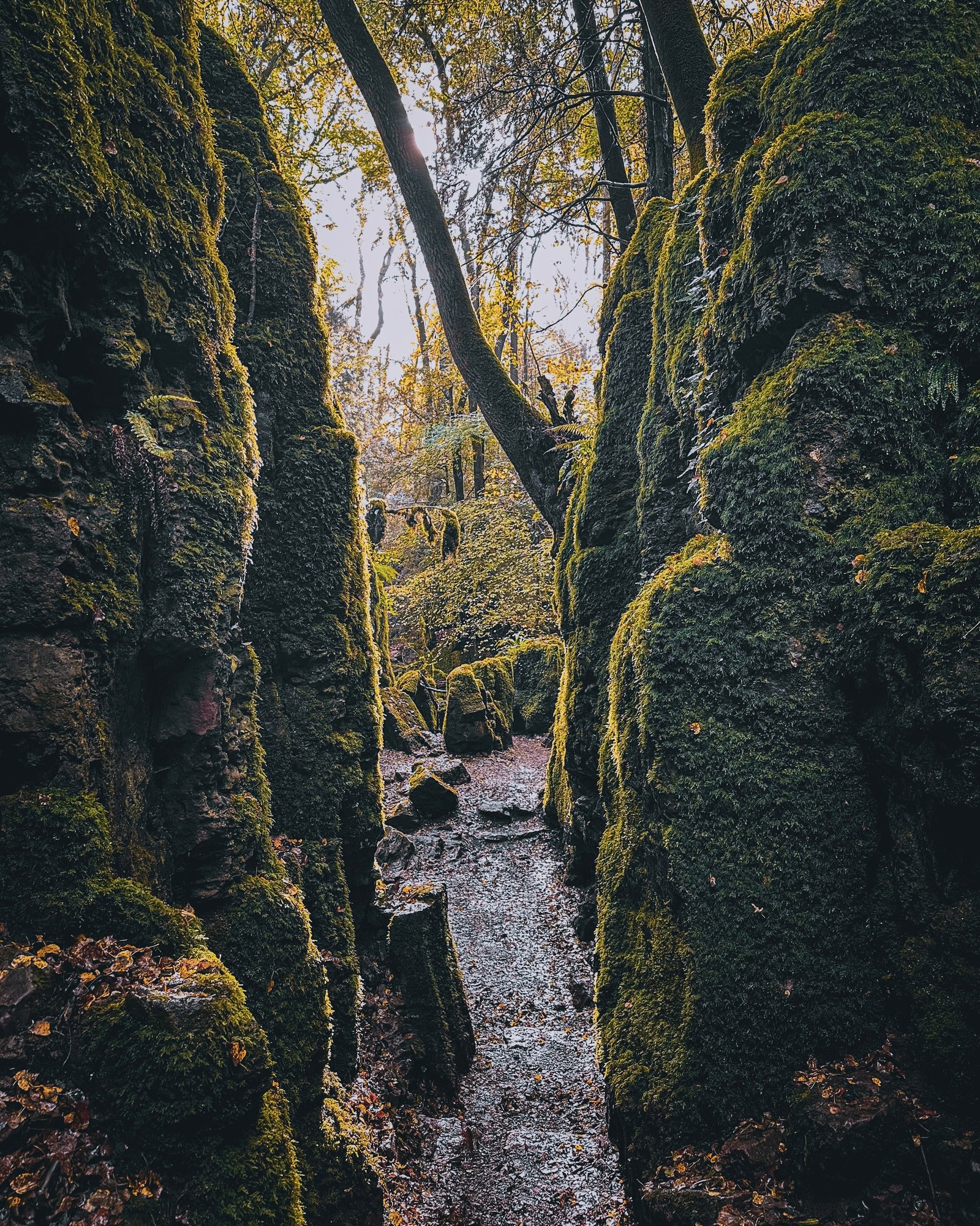 IMG_0948_jpg IMG_0948_jpg