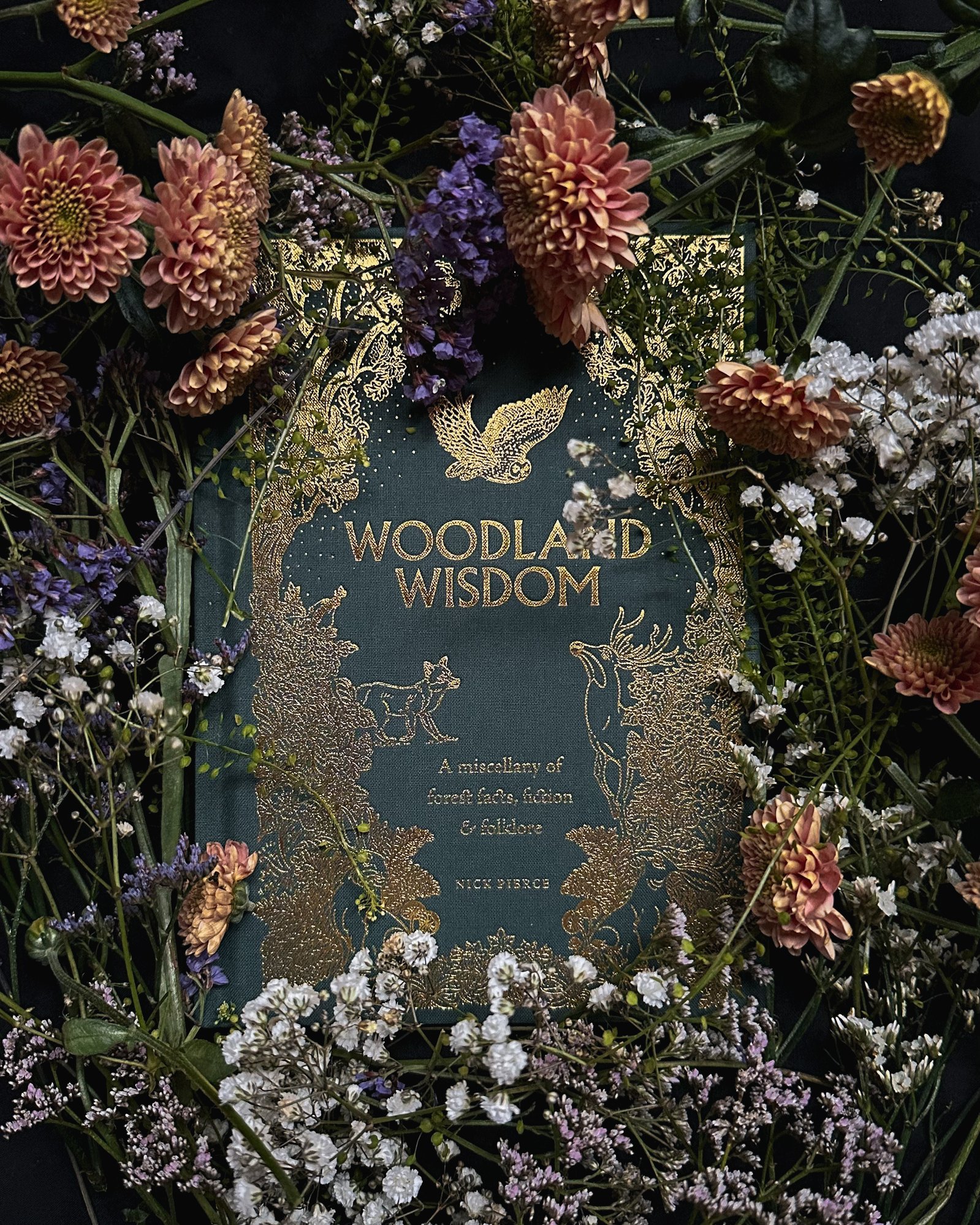 IMG_5256_jpg IMG_5256_jpg