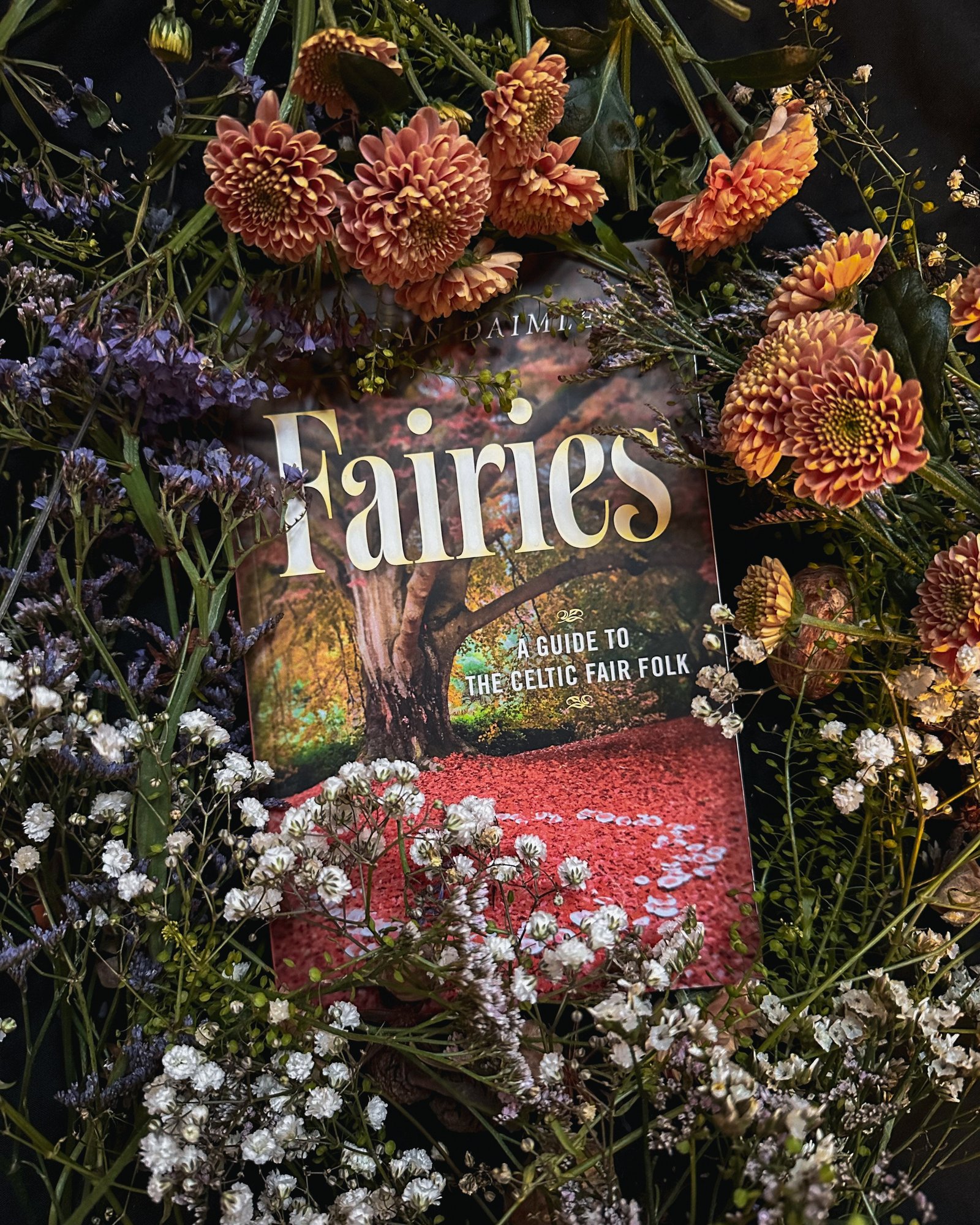 IMG_5367_jpg IMG_5367_jpg